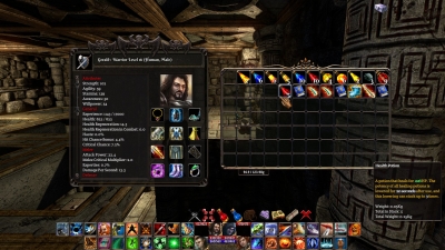 Screen ze hry The Fall of the Dungeon Guardians