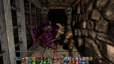 Screen ze hry The Fall of the Dungeon Guardians