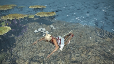 Screen ze hry Final Fantasy XIV: Stormblood