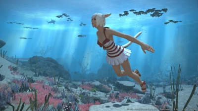 Screen ze hry Final Fantasy XIV: Stormblood