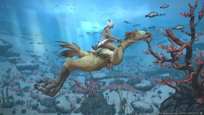 Screen ze hry Final Fantasy XIV: Stormblood