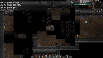 Screen ze hry 9th Dawn II