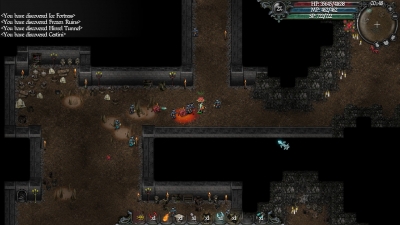 Screen ze hry 9th Dawn II