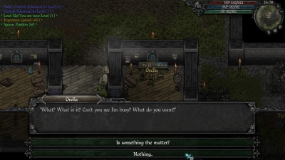 Screen ze hry 9th Dawn II