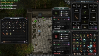 Screen ze hry 9th Dawn II