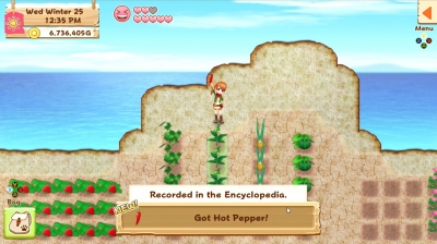 Screen ze hry Harvest Moon: Light of Hope