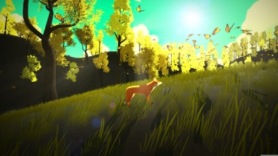 Screen ze hry The First Tree