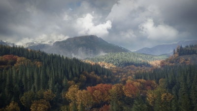 Screen ze hry theHunter: Call of the Wild