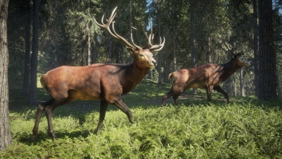 Screen ze hry theHunter: Call of the Wild