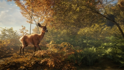 Screen ze hry theHunter: Call of the Wild