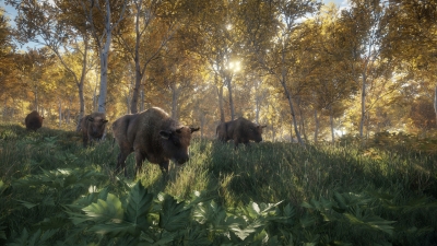 Screen ze hry theHunter: Call of the Wild