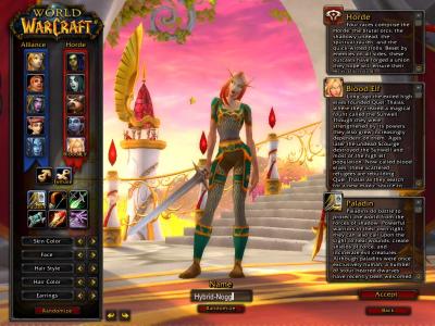 Screen ze hry World of Warcraft: The Burning Crusade