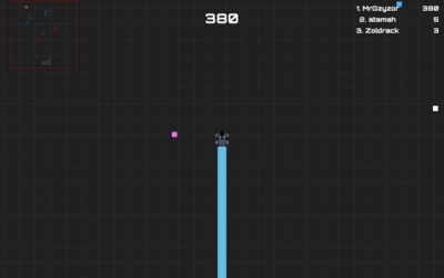 Screen ze hry Racecar.io