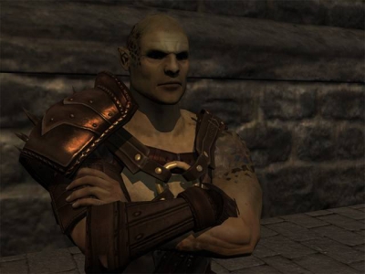 Screen ze hry Mortal Online
