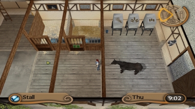 Screen ze hry My Riding Stables: Life with Horses