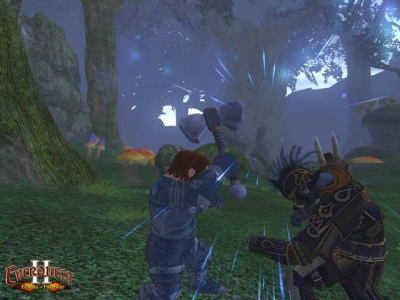 Screen ze hry EverQuest II: Echoes of Faydwer
