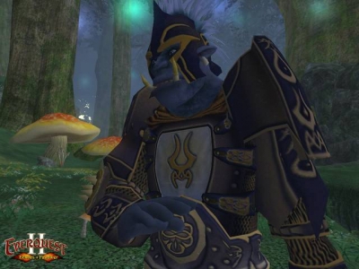 Screen ze hry EverQuest II: Echoes of Faydwer