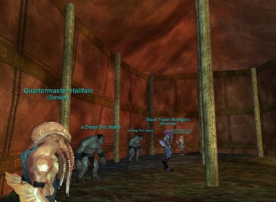 Screen ze hry EverQuest: Depths of Darkhollow