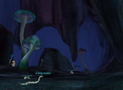 Screen ze hry EverQuest: Depths of Darkhollow