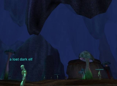 Screen ze hry EverQuest: Depths of Darkhollow