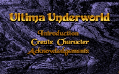 Screen ze hry Ultima Underworld: The Stygian Abyss