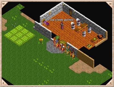 Screen ze hry Avernum 3