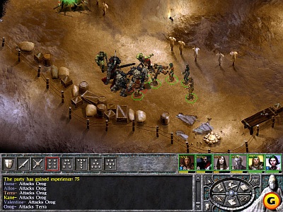 Screen Icewind Dale II