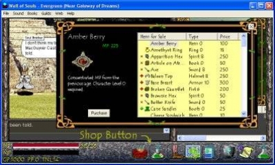 Screen ze hry Well Of Souls