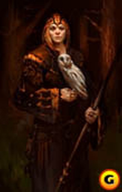 Screen Icewind Dale: Heart of Winter