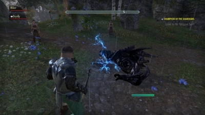 Screen ze hry The Elder Scrolls Online