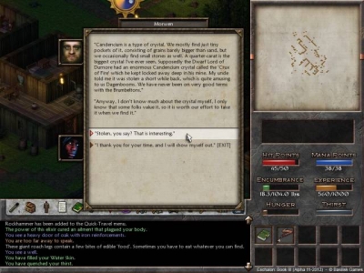 Screen ze hry Eschalon: Book III