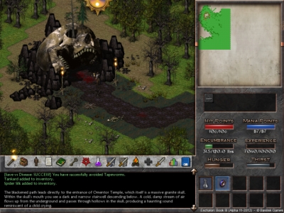 Screen ze hry Eschalon: Book III