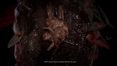 Screen ze hry The Origin: Blind Maid