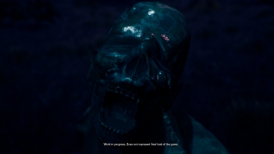 Screen ze hry The Origin: Blind Maid