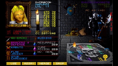 Screen ze hry Wizardry VII: Crusaders of the Dark Savant