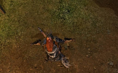 Screen ze hry Lord of the Rings Online: Shadows of Angmar, The