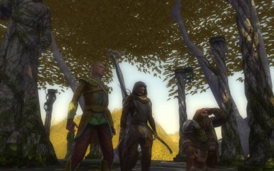 Screen ze hry Lord of the Rings Online: Shadows of Angmar, The