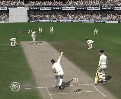 Screen Cricket 07