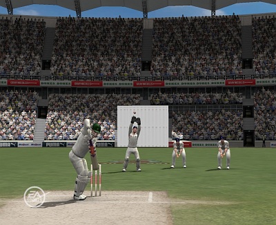 Screen Cricket 07