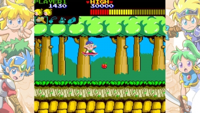 Artwork ke he Wonder Boy Collection