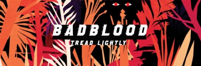 Artwork ke he Badblood