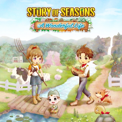 Artwork ke he Story of Seasons: A Wonderful Life