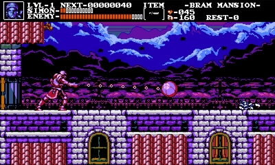 Screen ze hry The Transylvania Adventure of Simon Quest