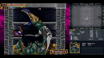 Screen ze hry Castlevania Dominus Collection