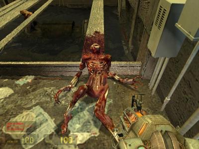 Screen ze hry Half-Life 2