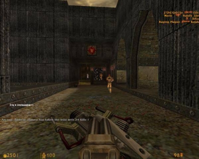 Screen ze hry Deathmatch Classic