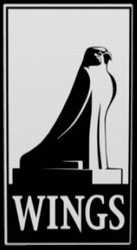 Wings Simulations GmbH