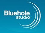 Bluehole Studio