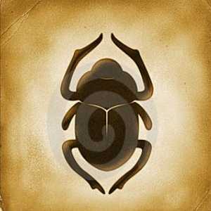 Scarab