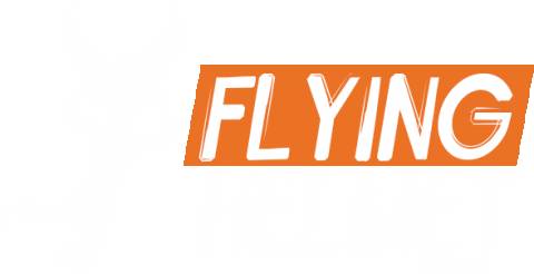 Flying Helmet Games